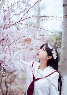 免费av片在线_高清视频在线观看